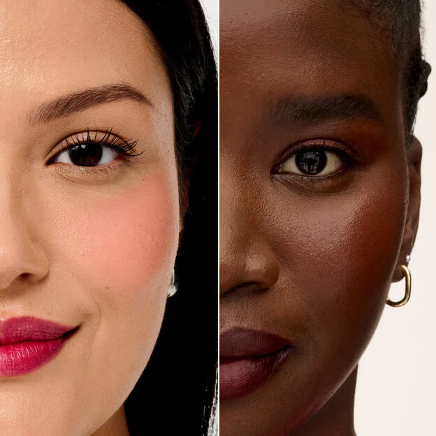 Benetint Buddy Models