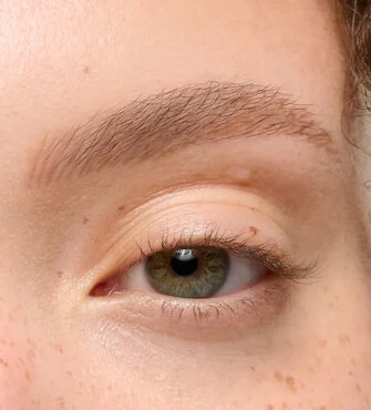 Precisely, My Brow Detailer