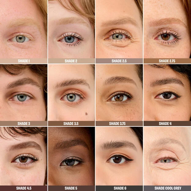 Precisely, My Brow Duo