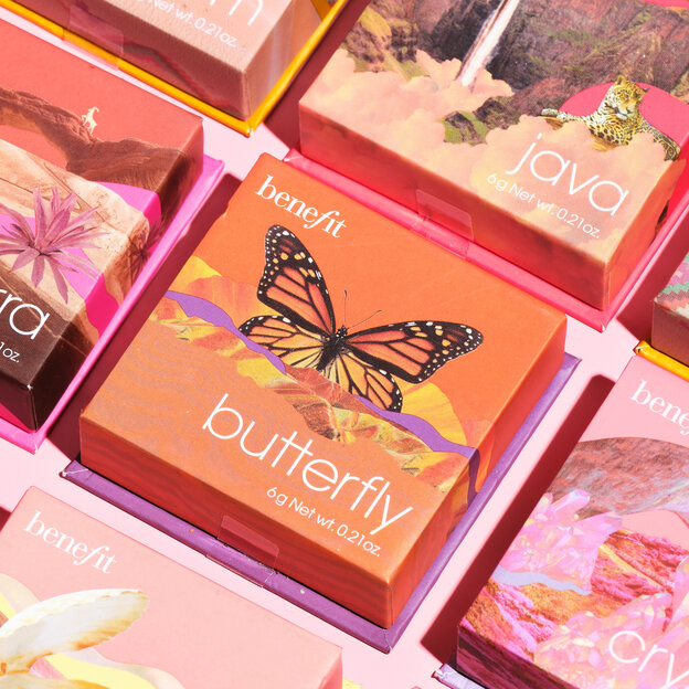 Butterfly close up