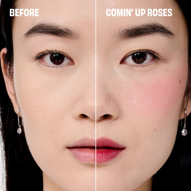 Benetint Limited Edition